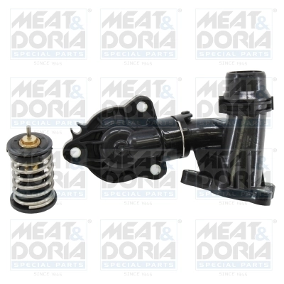 Thermostat, coolant